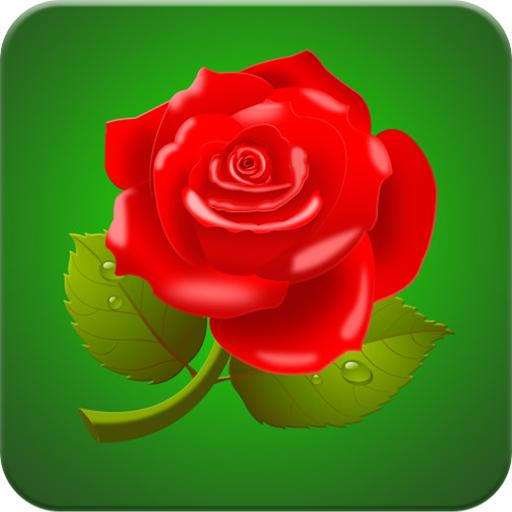 Rose Wallpaper HD  Icon