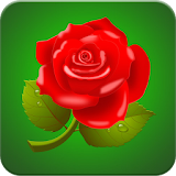 Rose Wallpaper HD icon