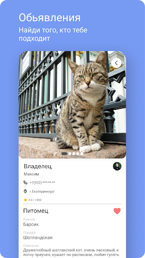Android application Pets | Поиск домашних животных screenshort