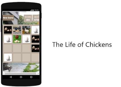 The Life Of Chickens