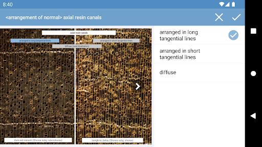 macroHOLZdata Screen 3