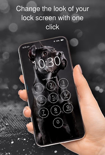 Wallpapers with animals