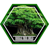 New Bonsai Tree Ideas icon