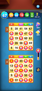 Bingo Amaze 2