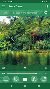 Relax Forest – Nature sounds: sleep & meditation 7