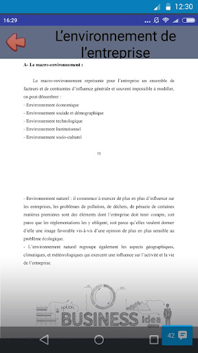 Management des Entreprises - L