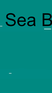 Sea Battle version 2.0