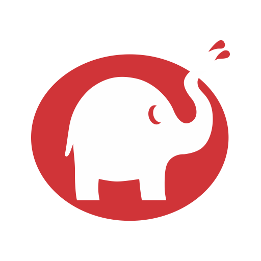 Style Boiler logo