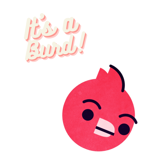 Its a burd logo