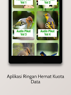 Suara Pikat Burung Kecil Liar 1.5.0 APK screenshots 14