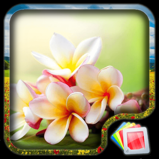 Flowers Live Wallpaper  Icon