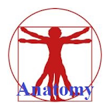 CoBa Anatomy icon
