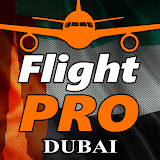 Pro Flight Simulator - Dubai icon
