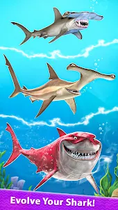 Shark Evolution Merge & Eat