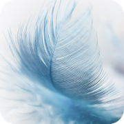 Top 40 Personalization Apps Like Feather Wallpaper Best HD - Best Alternatives