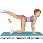 Cover Image of Download Exercices cuisses et fessiers  APK