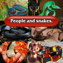Icon image People and snakes.