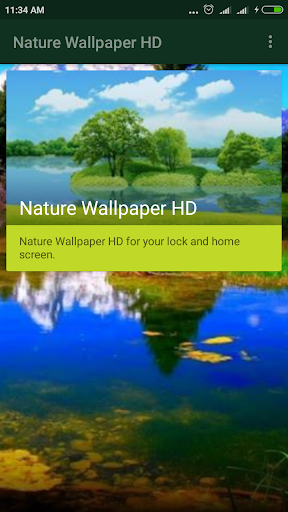 Nature Background Natural Wallpaper