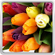 Colorful Tulips Live Wallpaper Download on Windows