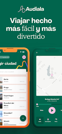 Vista previa de la aplicación
