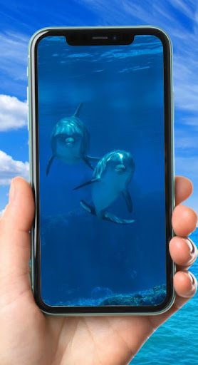 Imagenes de Delfines