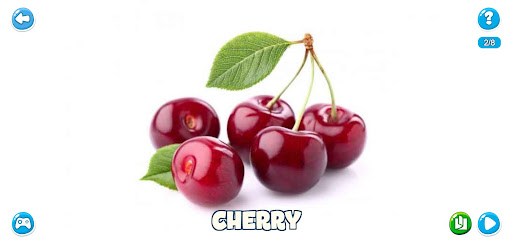 Flashcards Kid  Insect, Berry