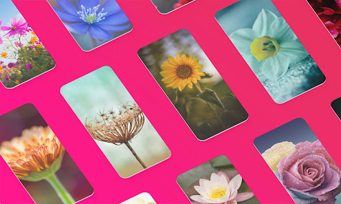 Captura de Pantalla 1 Cool Flower Wallpapers 4K | HD android