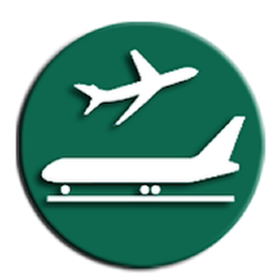 PAA Flight Inquiry: Download & Review
