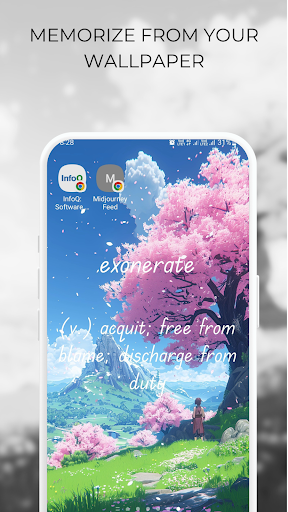 IELTS Vocabulary Wallpaper Screen 3