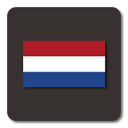 Lightning Launcher  Nederlands  Icon