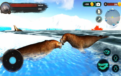 The Seal Elephant poster 18