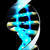3D DNA icon