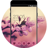 Sakura Theme: Pink Cherry blossom Flower Wallpaper icon