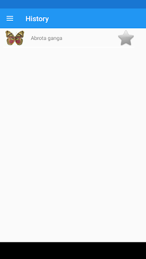 Butterflies Encyclopedia