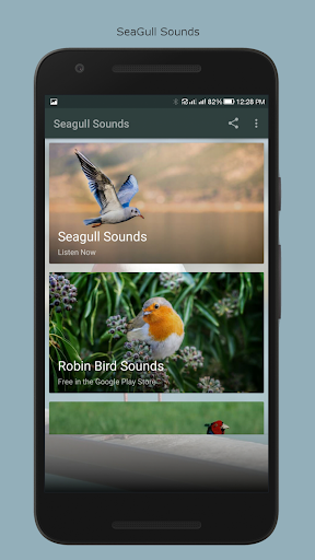 Android application Seagull Sounds screenshort