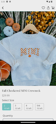 Screenshot of Lovely Closet Boutique