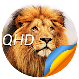 Animal Wallpapers (HD, QHD) icon