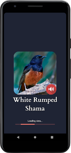 Android application White-rumped Shama Sounds screenshort