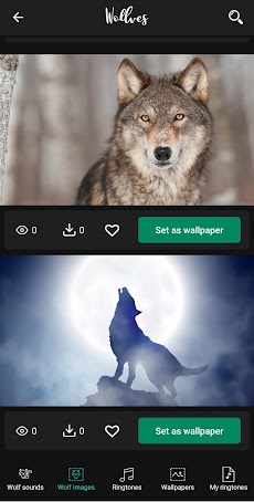 ウルフサウンド Androidアプリ Applion
