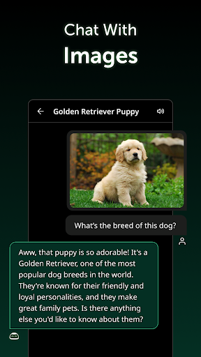 MAX - AI Chatbot Assistant Screen 3