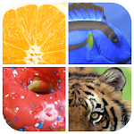 Cover Image of Download Guess The Word : Close Up Pict  APK