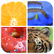 Guess The Word : Close Up Pict - Androidアプリ