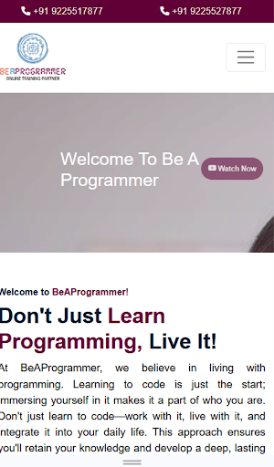 beaprogrammer