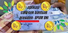 Cara Cek Banpres BNI Mekarのおすすめ画像5