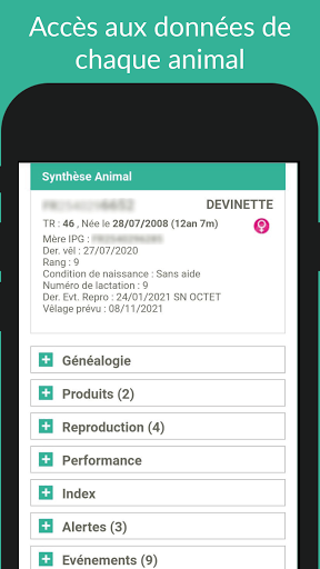 Synel Bovin Screen 3