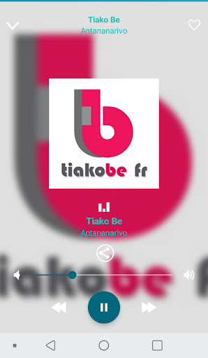 Madagascar radios online Screen 3