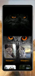 Owl Mobile Wallpaper HD