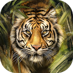 Cover Image of 下载 Animals wallpapers  APK