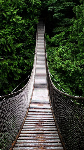 Android application Jungle Live Wallpaper screenshort