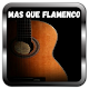 More than Flamenco Music Radio Download on Windows